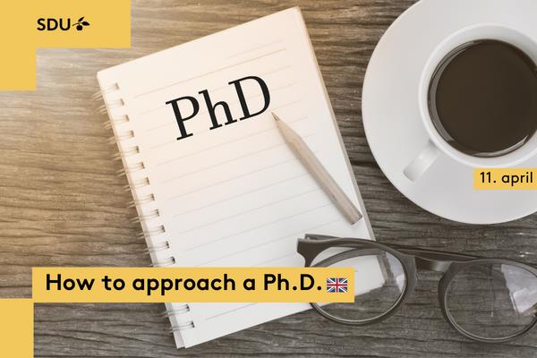 phd courses sdu health